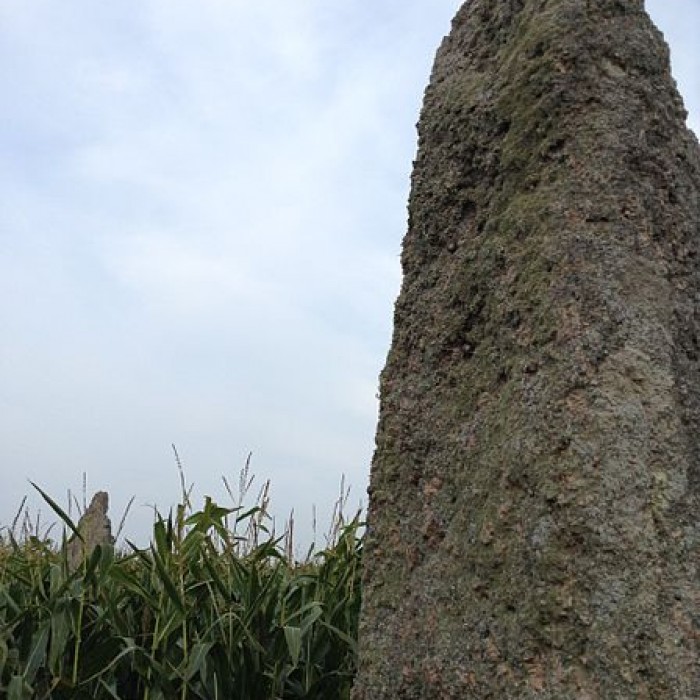 Photo de Alignement de Saint-Denec