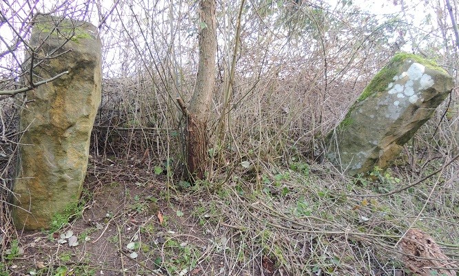 Photo de Alignement des Sept Grés à Montereau-Fault-Yonne