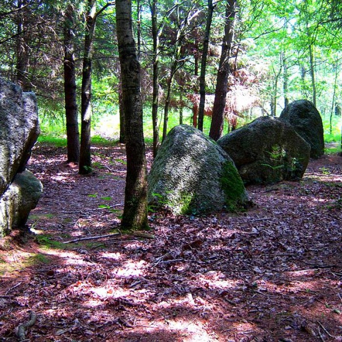 Photo de Alignement du Grand Resto à Languidic