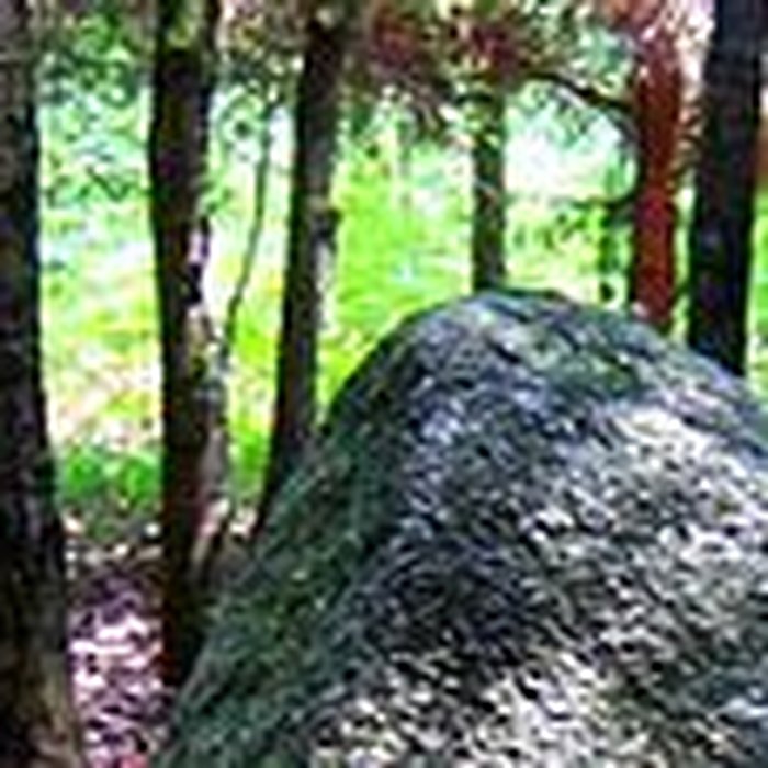 Photo de Alignement du Grand Resto à Languidic