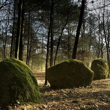 Alignement du Grand Resto à Languidic
