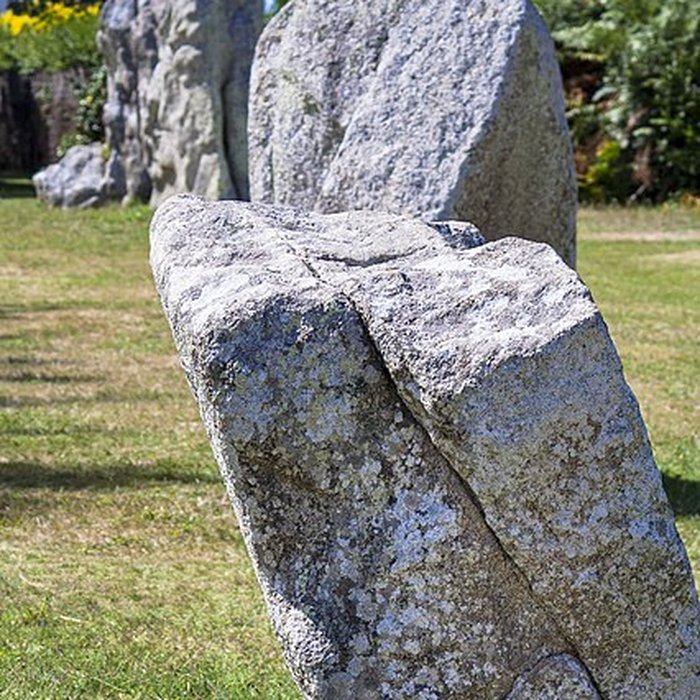 Photo de Alignements de Kerbourgnec à Saint-Pierre-Quiberon