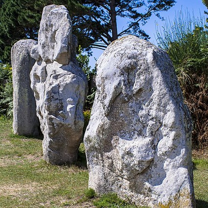 Photo de Alignements de Kerbourgnec à Saint-Pierre-Quiberon