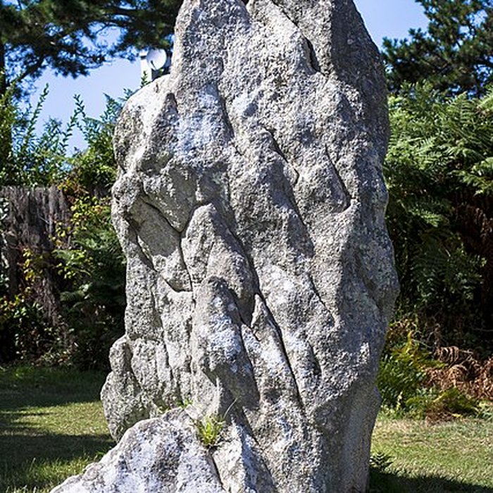 Photo de Alignements de Kerbourgnec à Saint-Pierre-Quiberon