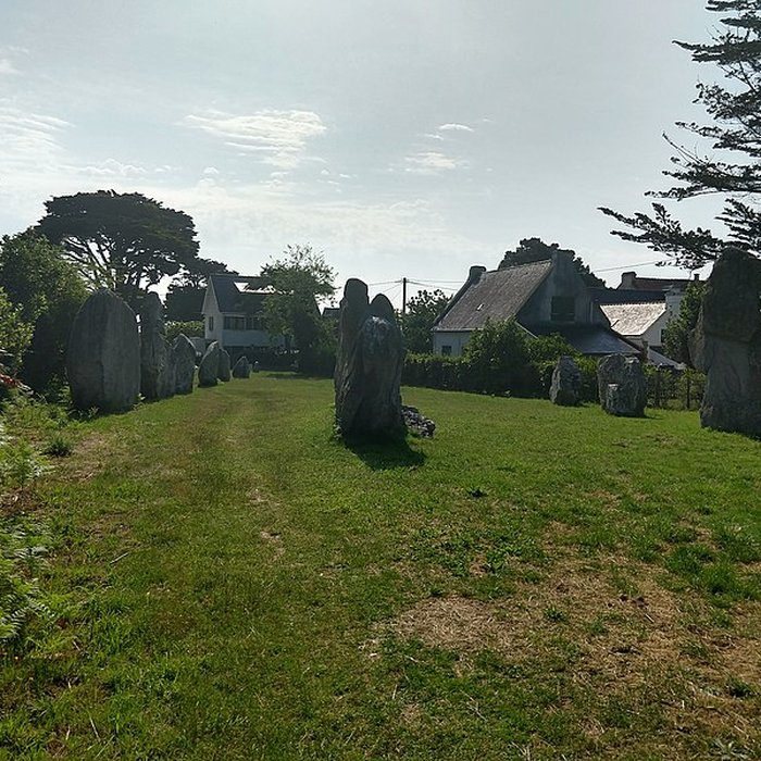 Photo de Alignements de Kerbourgnec à Saint-Pierre-Quiberon