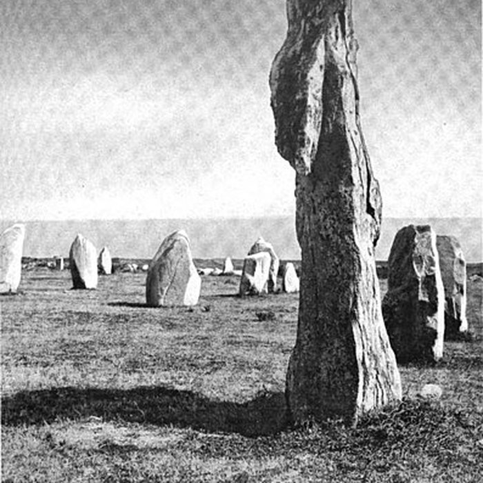 Photo de Alignements de Kerbourgnec à Saint-Pierre-Quiberon