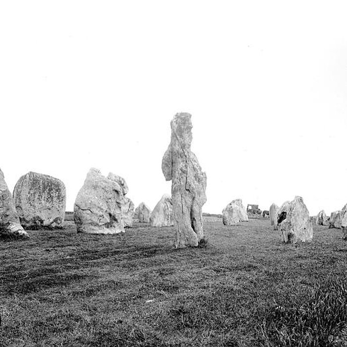 Photo de Alignements de Kerbourgnec à Saint-Pierre-Quiberon