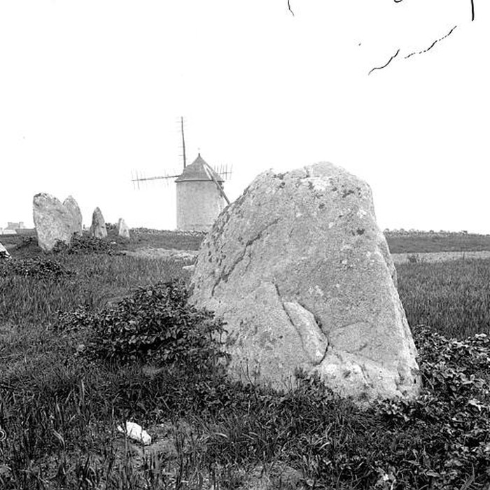Photo de Alignements de Kerbourgnec à Saint-Pierre-Quiberon
