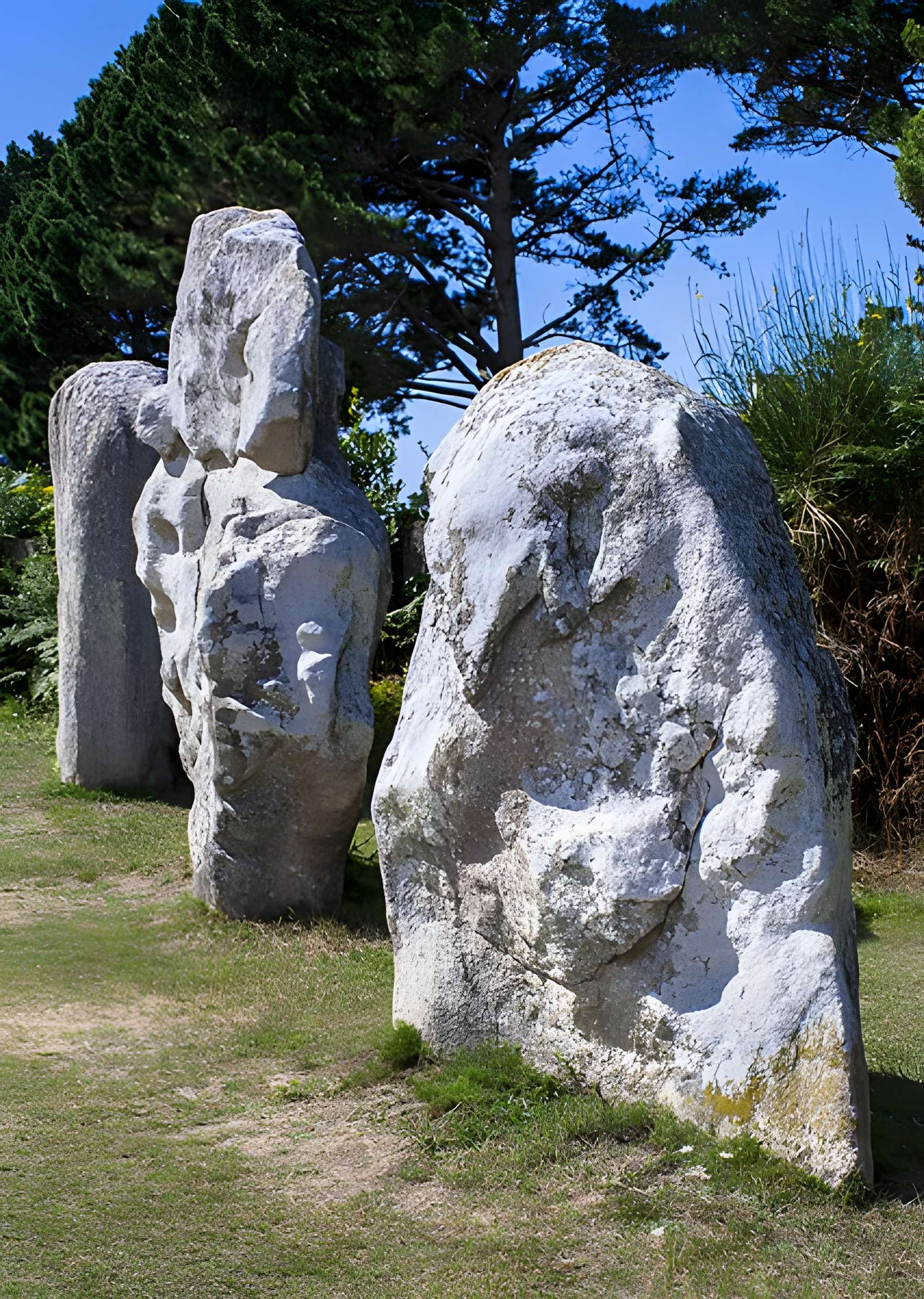 Alignements de Kerbourgnec à Saint-Pierre-Quiberon
