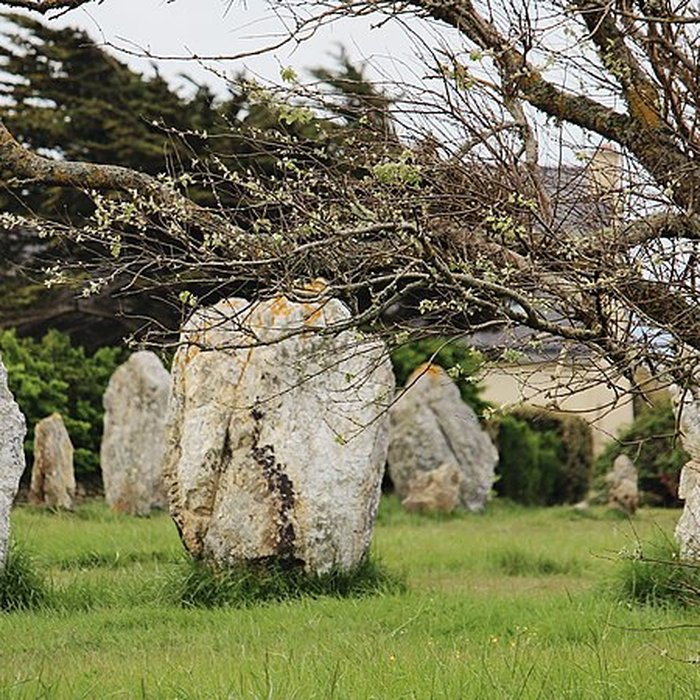 Photo de Alignements de Lagatjar à Camaret-sur-Mer
