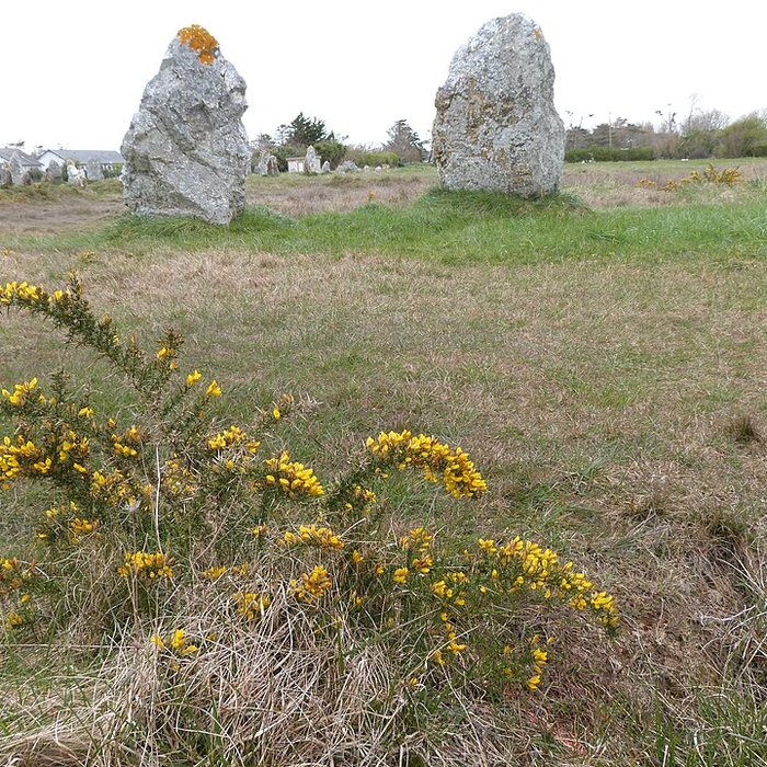 Photo de Alignements de Lagatjar à Camaret-sur-Mer