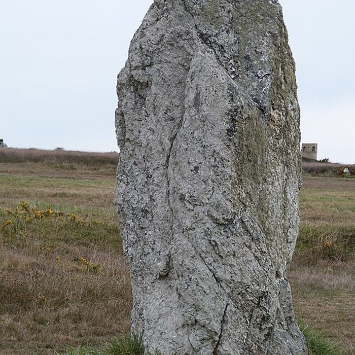 Photo de Alignements de Lagatjar à Camaret-sur-Mer