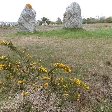Alignements de Lagatjar à Camaret-sur-Mer