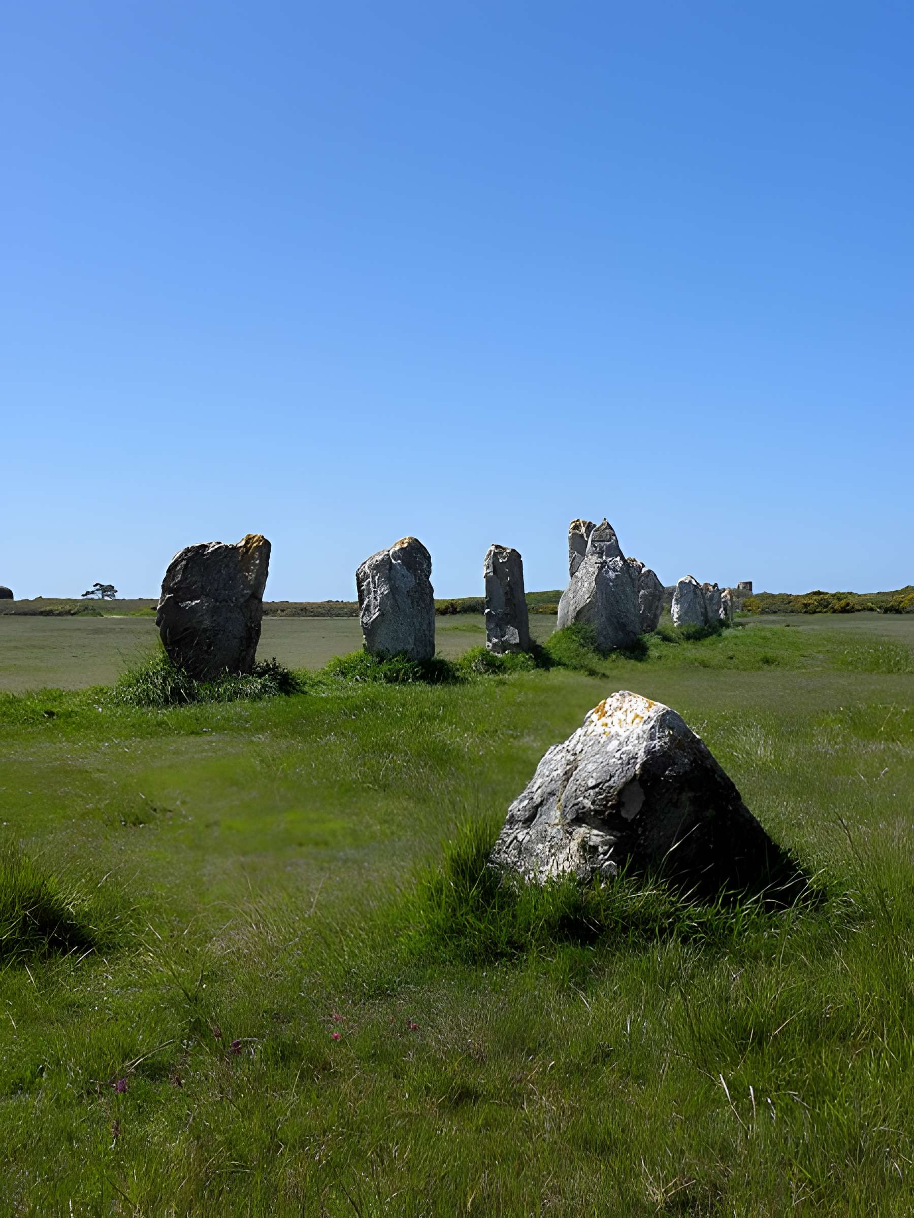 Alignements de Lagatjar à Camaret-sur-Mer