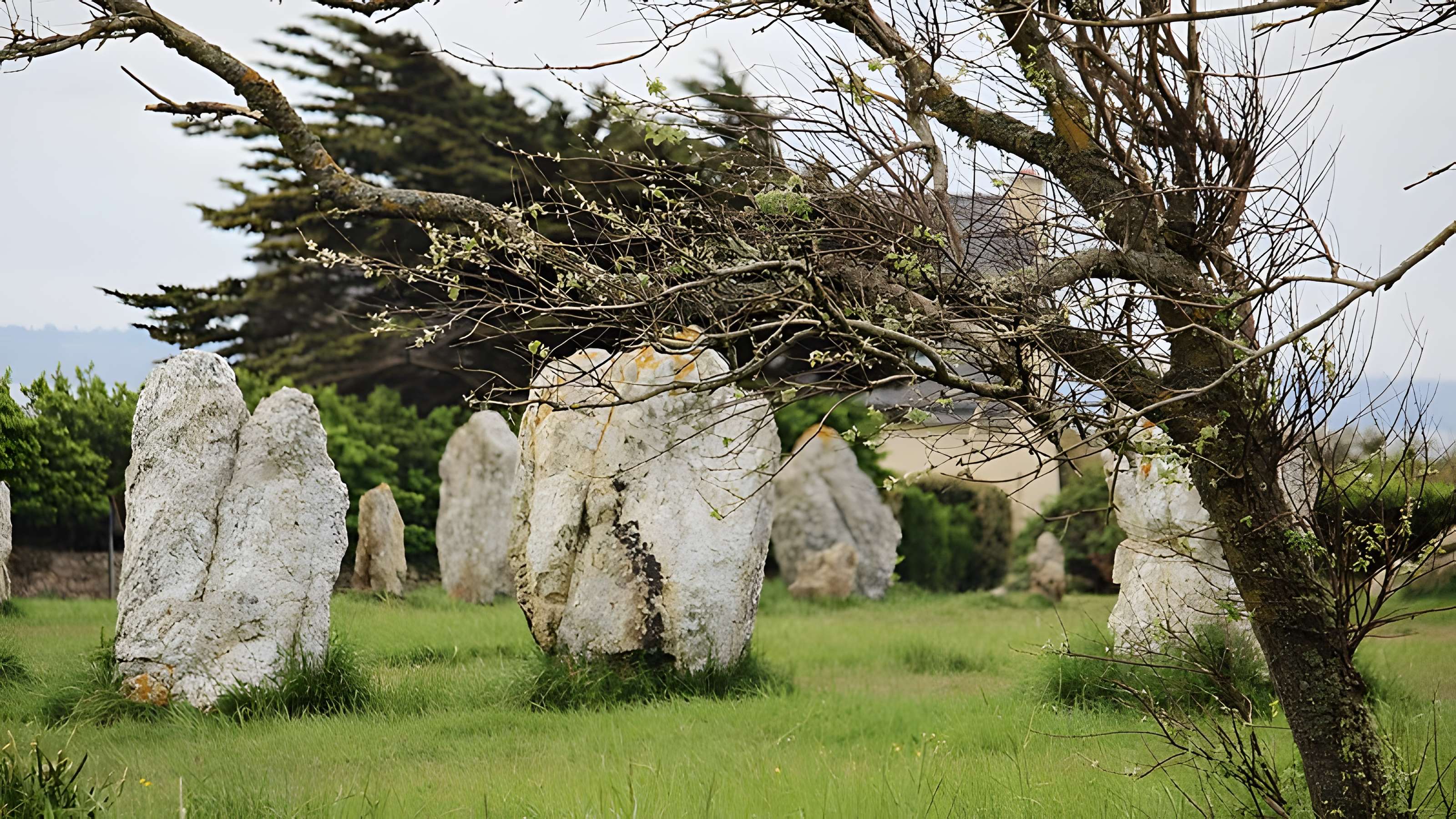 Alignements de Lagatjar à Camaret-sur-Mer