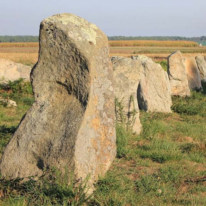 Photo de Alignements du Gueldro à Plouhinec