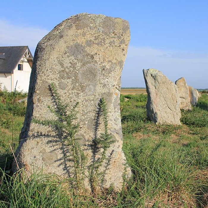 Photo de Alignements du Gueldro à Plouhinec