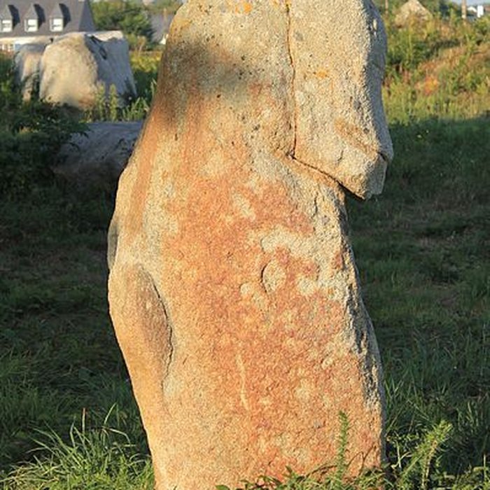 Photo de Alignements du Gueldro à Plouhinec
