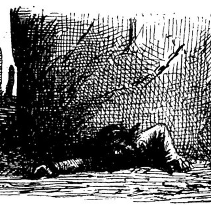 Photo de Alignements du Gueldro à Plouhinec