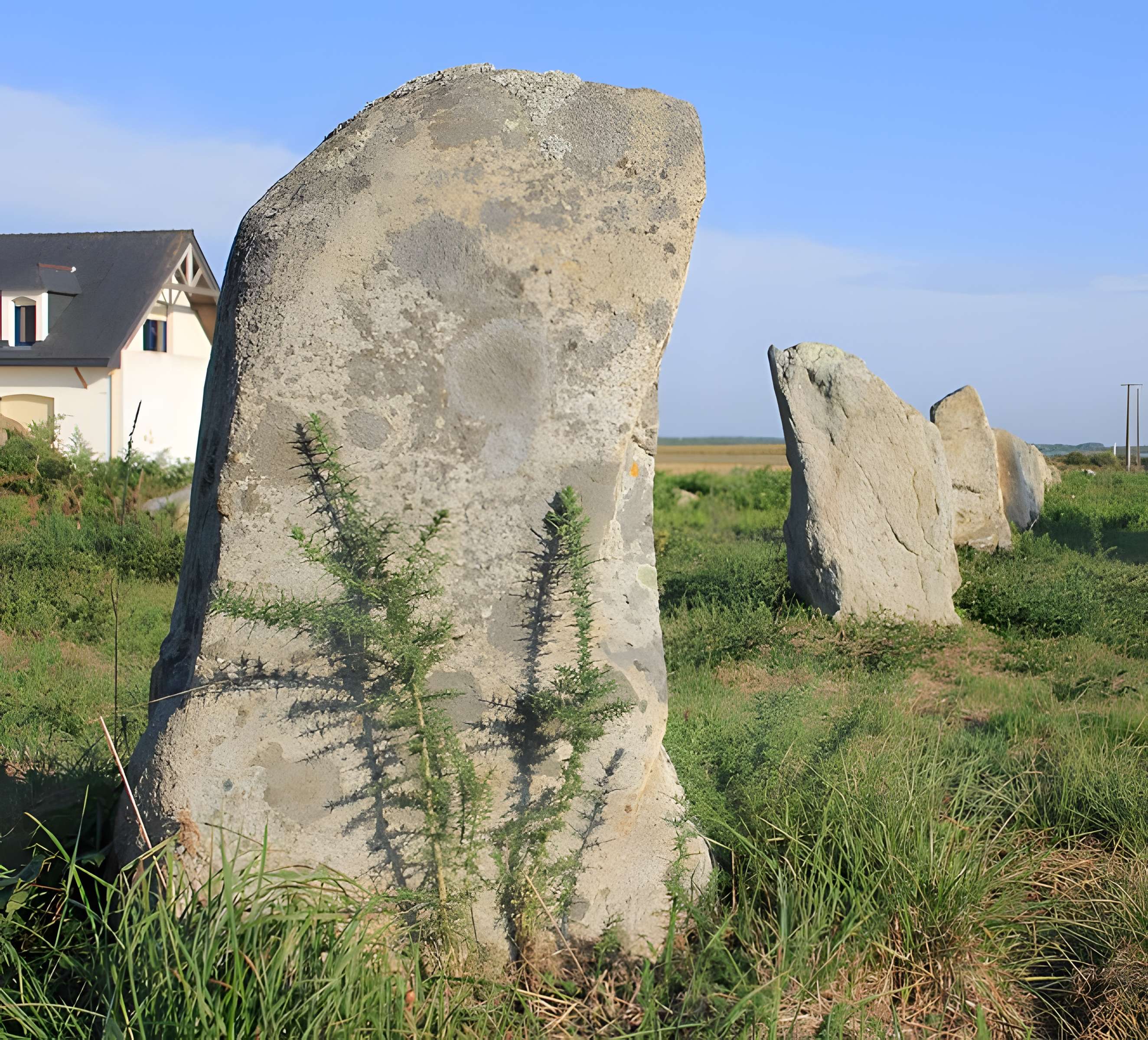 Alignements du Gueldro à Plouhinec