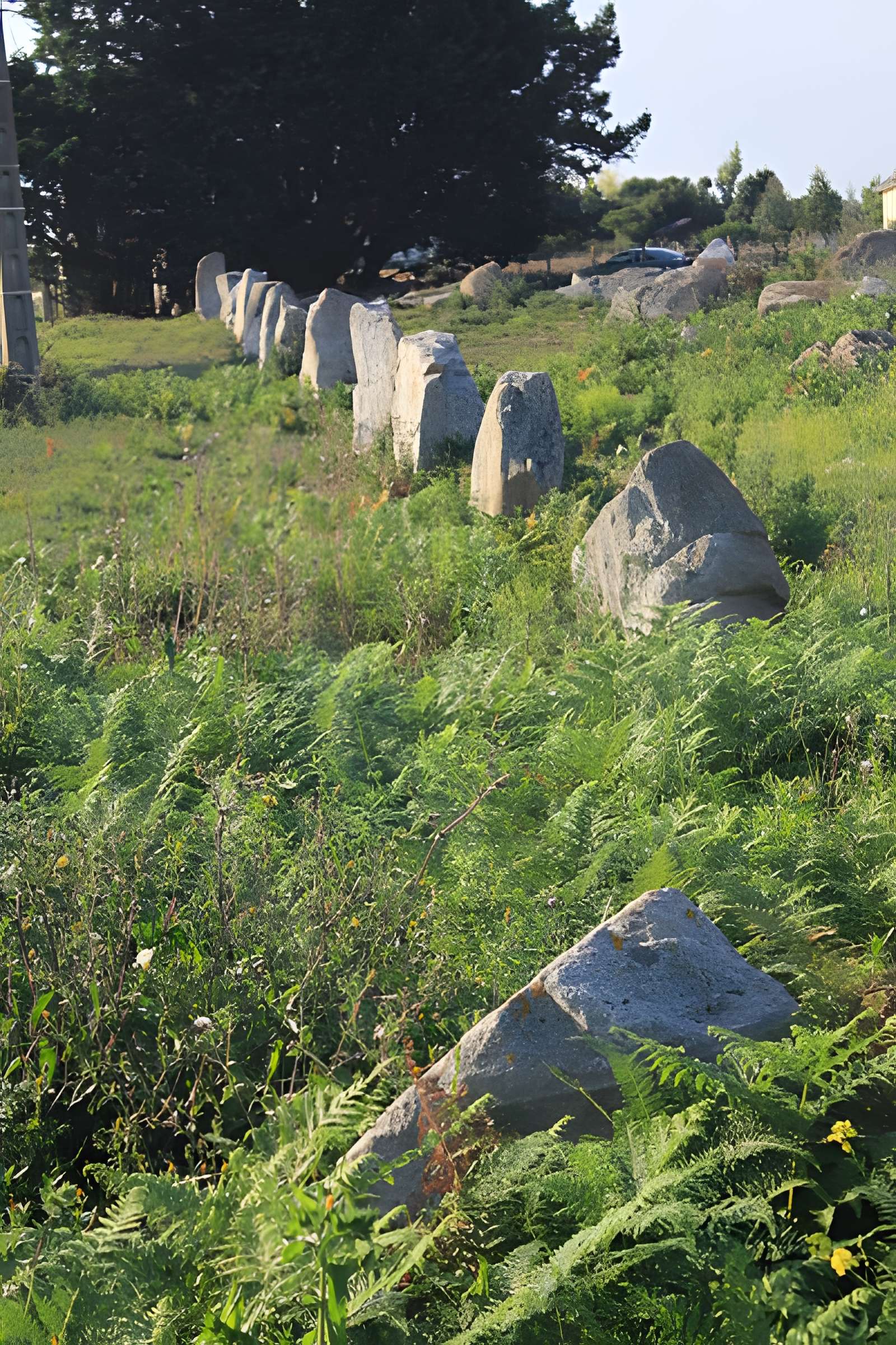 Alignements du Gueldro à Plouhinec