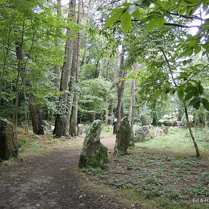 Photo de Alignements du Petit-Ménec à La Trinité-sur-Mer