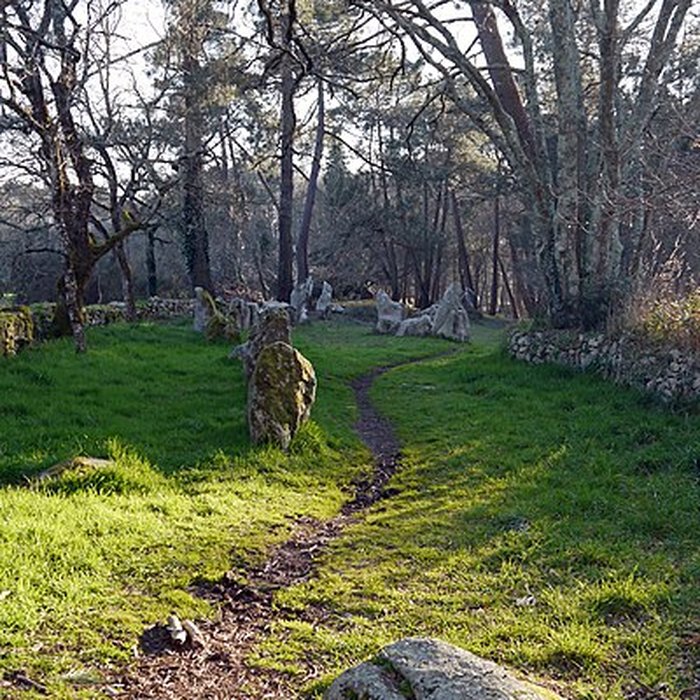 Photo de Alignements du Petit-Ménec à La Trinité-sur-Mer