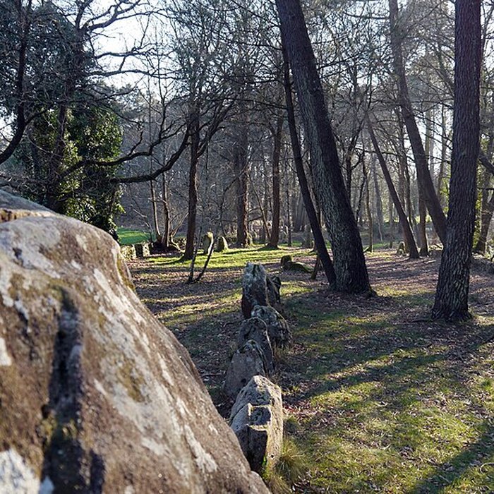 Photo de Alignements du Petit-Ménec à La Trinité-sur-Mer