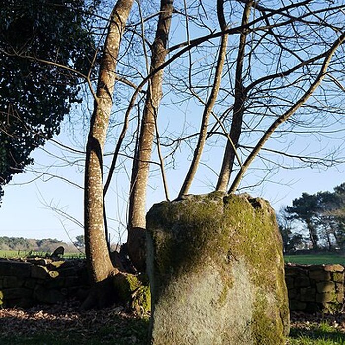 Photo de Alignements du Petit-Ménec à La Trinité-sur-Mer