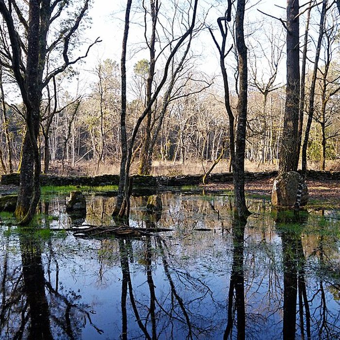 Photo de Alignements du Petit-Ménec à La Trinité-sur-Mer