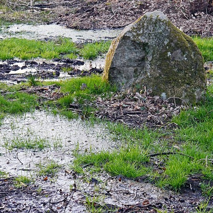 Photo de Alignements du Petit-Ménec à La Trinité-sur-Mer