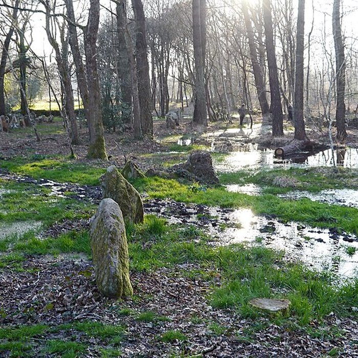 Photo de Alignements du Petit-Ménec à La Trinité-sur-Mer
