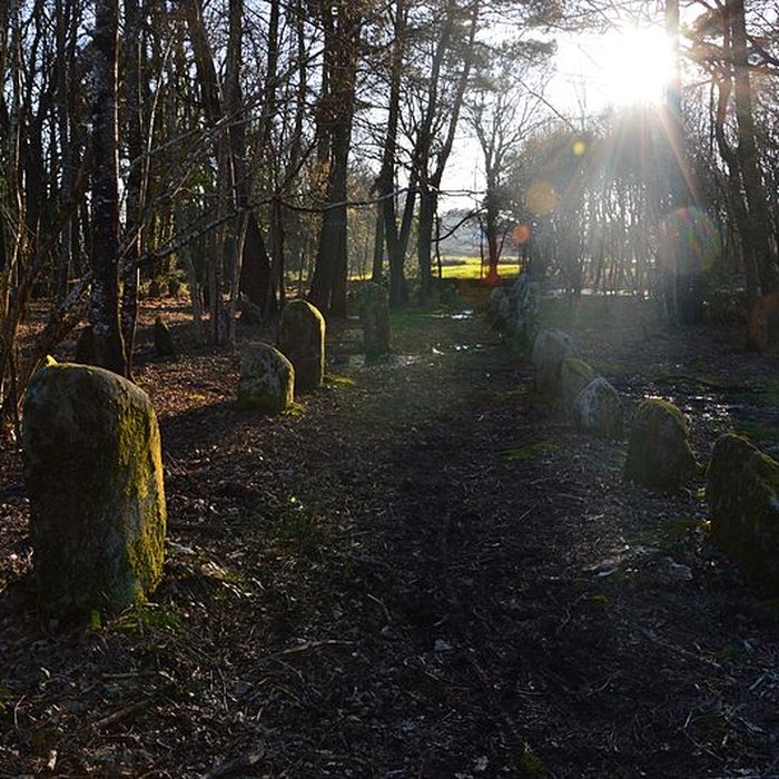 Photo de Alignements du Petit-Ménec à La Trinité-sur-Mer