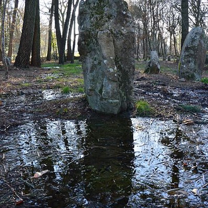 Photo de Alignements du Petit-Ménec à La Trinité-sur-Mer