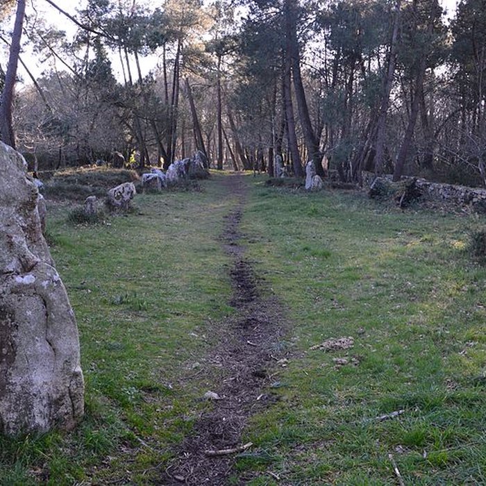 Photo de Alignements du Petit-Ménec à La Trinité-sur-Mer