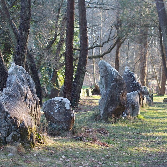 Photo de Alignements du Petit-Ménec à La Trinité-sur-Mer