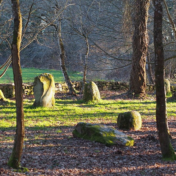 Photo de Alignements du Petit-Ménec à La Trinité-sur-Mer