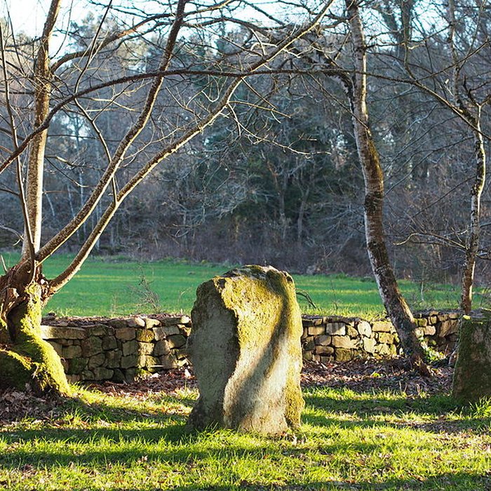 Photo de Alignements du Petit-Ménec à La Trinité-sur-Mer