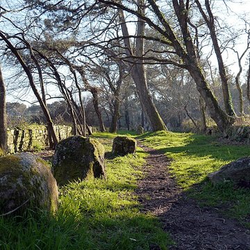 Alignements du Petit-Ménec à La Trinité-sur-Mer