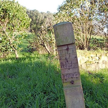 Alignements du Petit-Ménec à La Trinité-sur-Mer