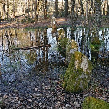 Alignements du Petit-Ménec à La Trinité-sur-Mer