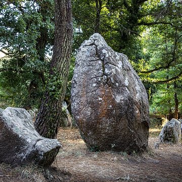 Alignements du Petit-Ménec à La Trinité-sur-Mer