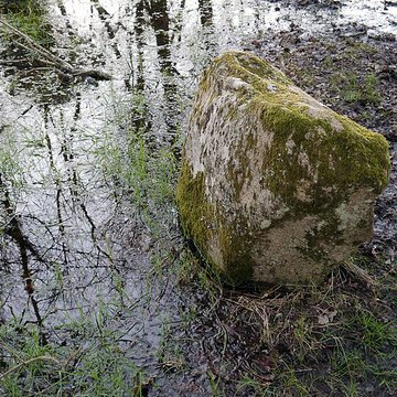 Alignements du Petit-Ménec à La Trinité-sur-Mer