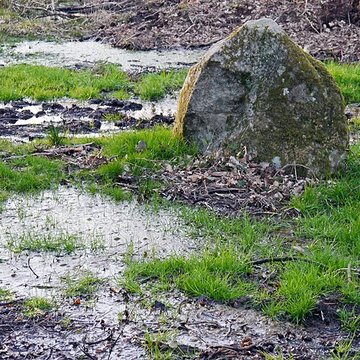 Alignements du Petit-Ménec à La Trinité-sur-Mer
