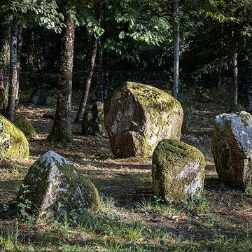 Alignements du Petit-Ménec à La Trinité-sur-Mer