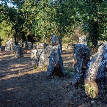 Alignements du Petit-Ménec à La Trinité-sur-Mer