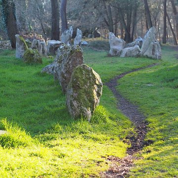 Alignements du Petit-Ménec à La Trinité-sur-Mer