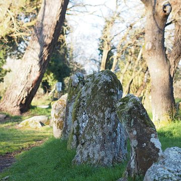 Alignements du Petit-Ménec à La Trinité-sur-Mer