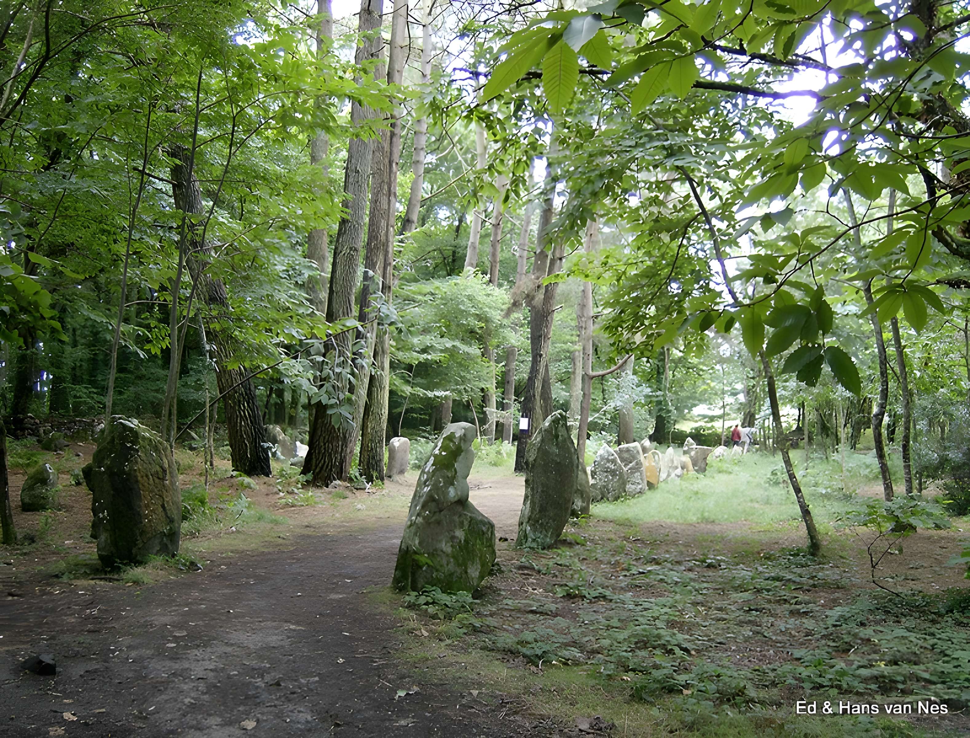 Alignements du Petit-Ménec à La Trinité-sur-Mer