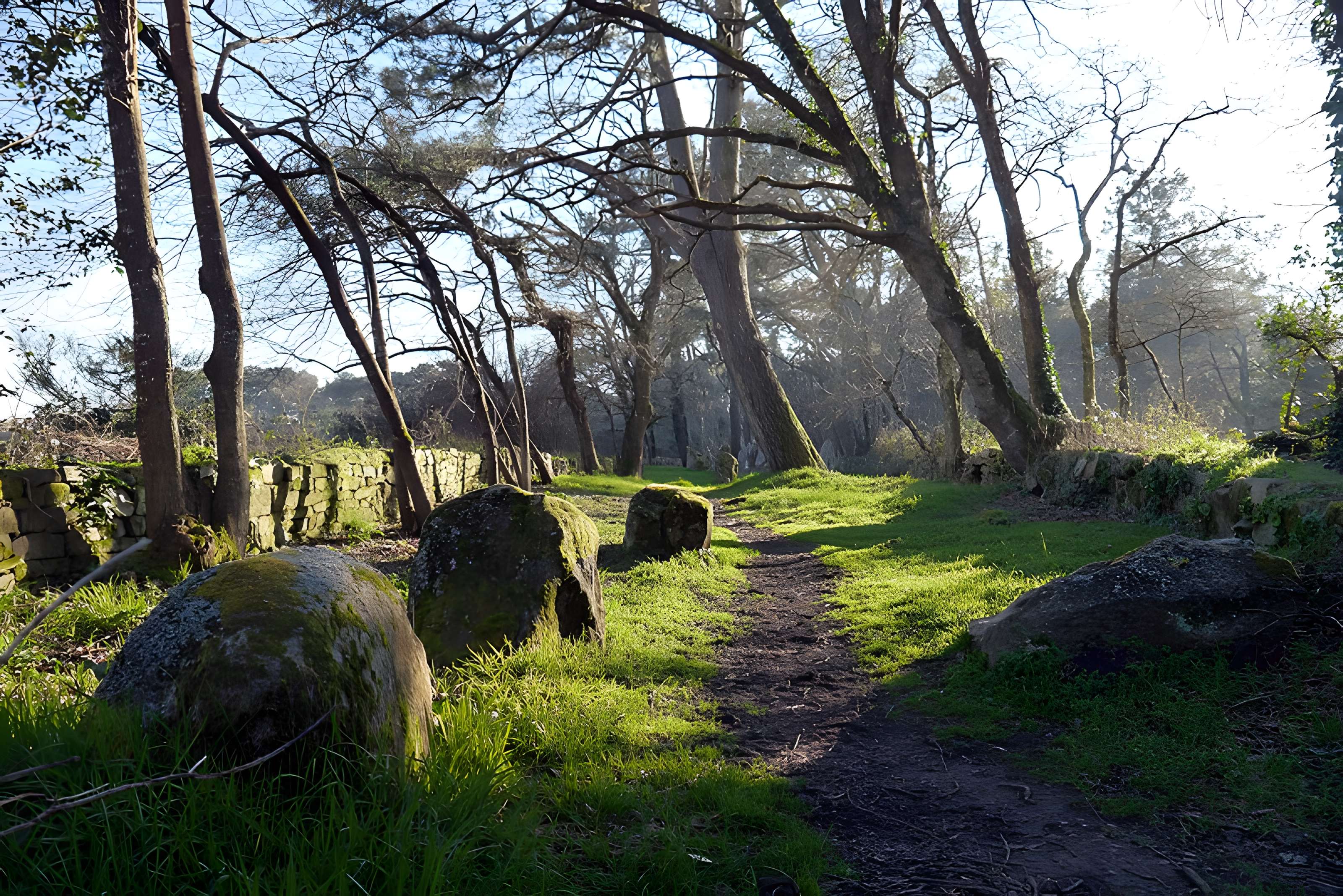 Alignements du Petit-Ménec à La Trinité-sur-Mer